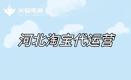 河北淘寶代運營